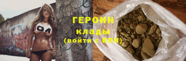 прущие грибы Лабытнанги
