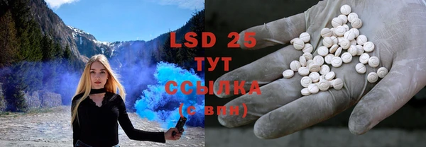 индика Липки