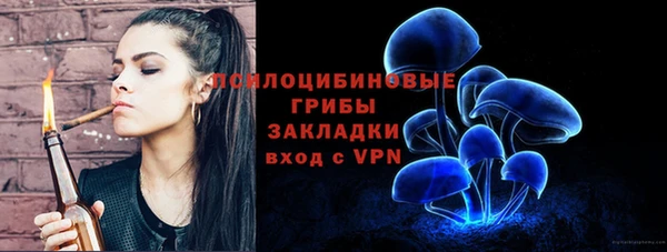 дживик Лагань