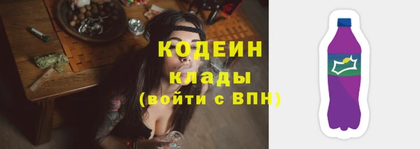 индика Липки