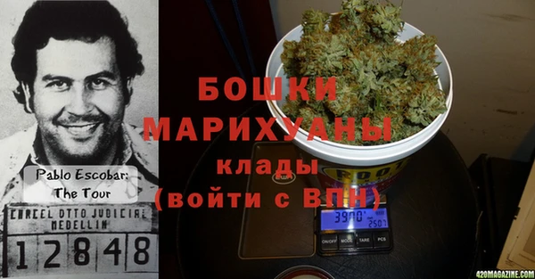 дживик Лагань
