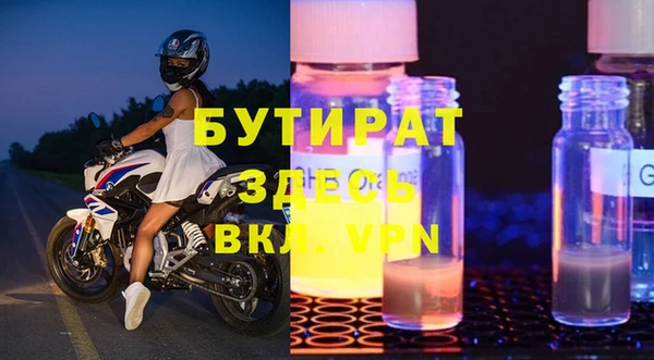 прущие грибы Лабытнанги