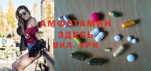 прущие грибы Лабытнанги