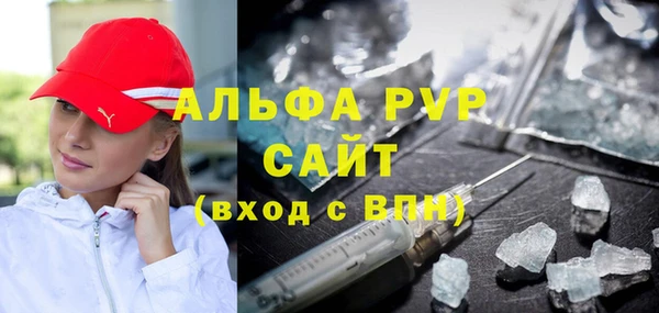 прущие грибы Лабытнанги