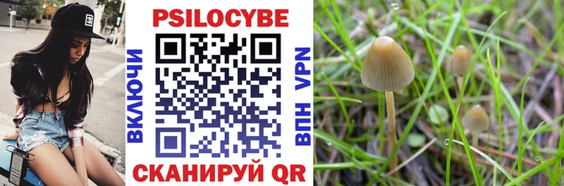 Псилоцибиновые грибы Magic Shrooms  Суровикино 
